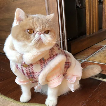Luxus macskahám kabát csattal Téli meleg kisállat ruhák macskáknak Gatos Katten Kedi ruházat Kutya kabát kabalák jelmez